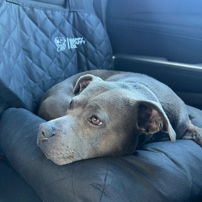 Premium Car Seat Protector