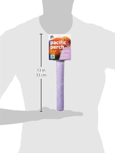 PreVue 1008 Beach Walks Large Perch