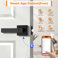 Probrico Black Smart Lock Keyless Entry Door Lock with Handle Fingerprint Door Lock for Bedroom Bathroom