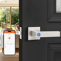 Probrico Satin Nickel Smart Lock Keyless Entry Door Lock with Handle Fingerprint Door Lock for Bedroom Bathroom