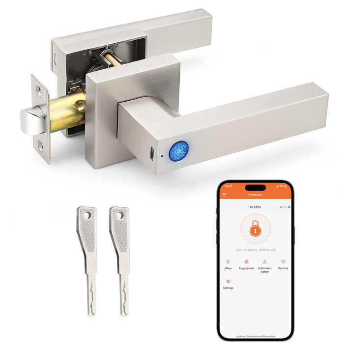 Probrico Satin Nickel Smart Lock Keyless Entry Door Lock with Handle Fingerprint Door Lock for Bedroom Bathroom