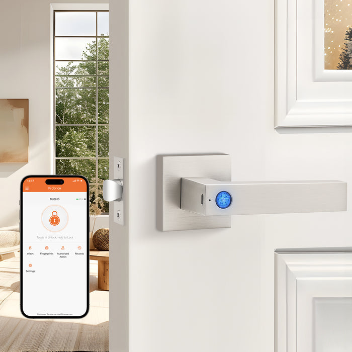 Probrico Satin Nickel Smart Lock Keyless Entry Door Lock with Handle Fingerprint Door Lock for Bedroom Bathroom