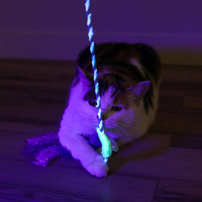 A cat plays intently on a wooden floor, reaching for the Quirky Kitty Firefly Wand—a glowing cat wand toy with catnip and silvervine—under purple-blue lighting.
