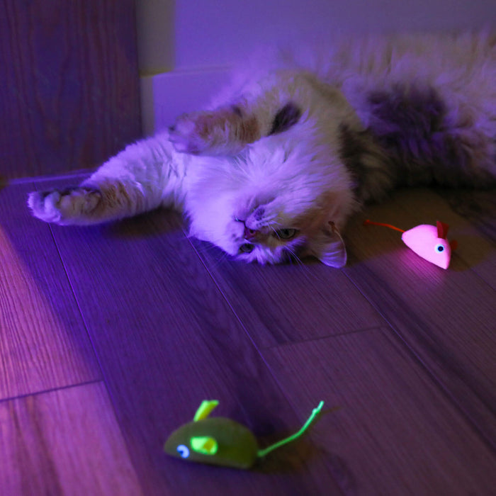 A fluffy cat relaxes on a wooden floor under purple lighting, surrounded by Quirky Kitty Glow Mice 3pk—catnip and silvervine-filled glowing toys from Quirky Kitty, perfect for playful nighttime fun.