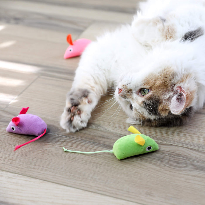 A fluffy cat relaxes on a wooden floor, gazing upward with one paw outstretched toward Quirky Kitty Glow Mice—catnip and silvervine-filled glowing toys by Quirky Kitty—perfect for colorful nighttime play.
