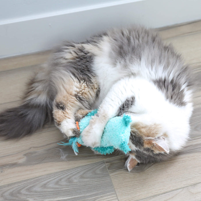 A fluffy gray and white cat lies on a wooden floor, playfully hugging and biting the Quirky Kitty Night Owl Kicker – a glow-in-the-dark catnip & silvervine toy from Quirky Kitty.