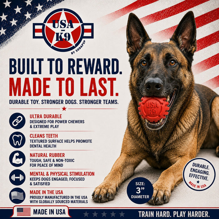 Red Stars-and-Stripes Ball for Treat & Fetch Play