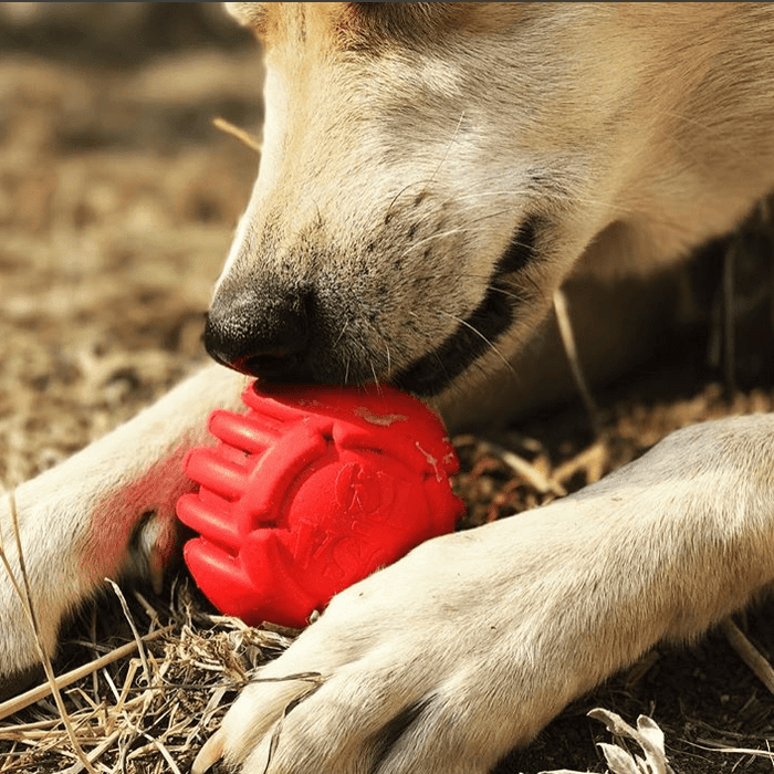 Red Stars-and-Stripes Ball for Treat & Fetch Play
