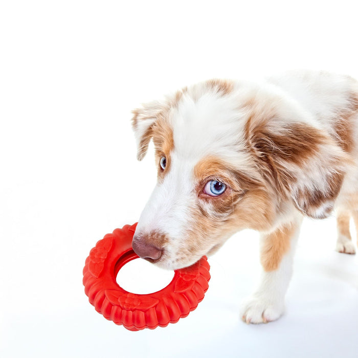 Red Virgo Tug Toy for Interactive Play