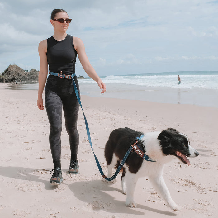 Woman walking dog on the beach using blue EzyDog Road Runner Leash in hands-free waist mode