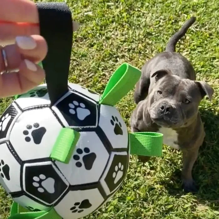 Ronaldog Soccer Ball