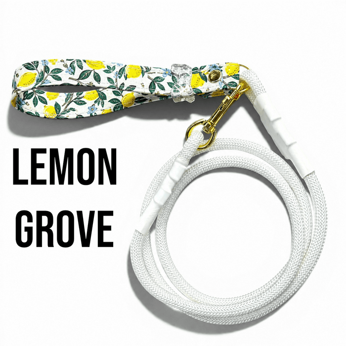 Rope Dog Leash With Handle