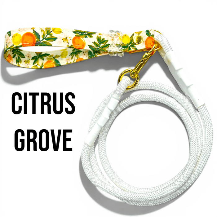 Rope Dog Leash With Handle