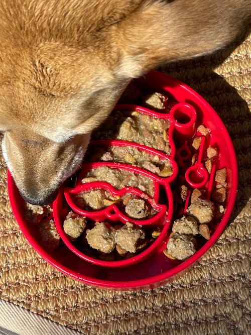 Santa-Pattern Dog Bowl for Holiday Meals