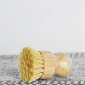 Scrub Brush