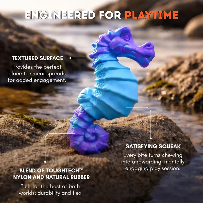 Seahorse Splash