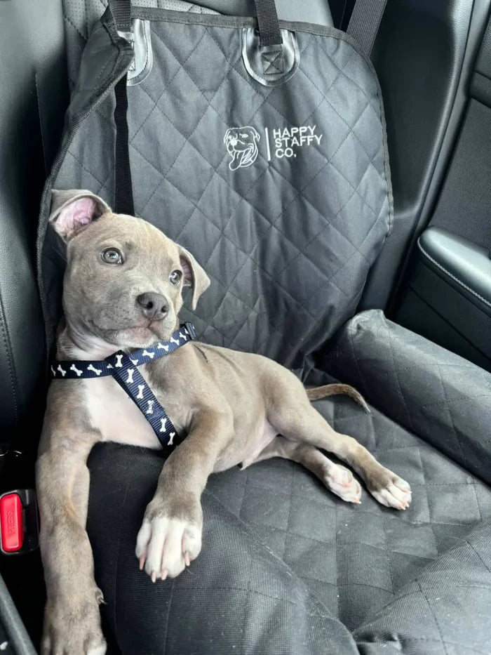 Single Car Seat Protector