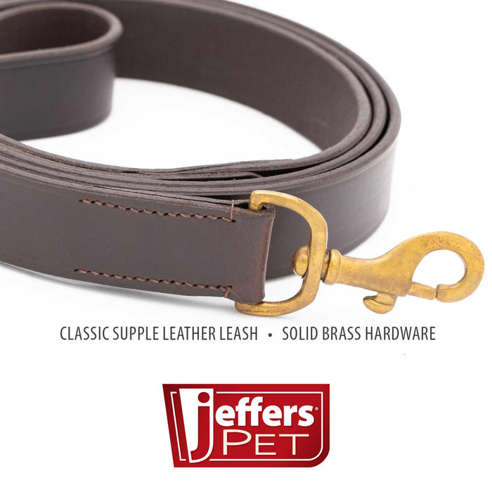 Six-Foot Flat Leather Lead with Brass Hardware