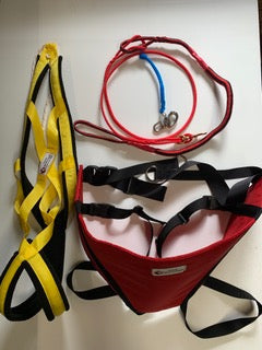 Skookum Jim Package | Arctic Racing Harness