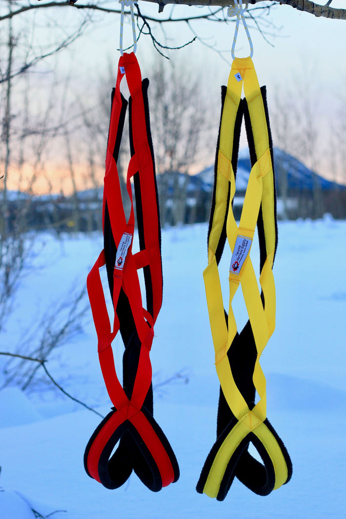 Skookum Jim Package | Arctic Racing Harness