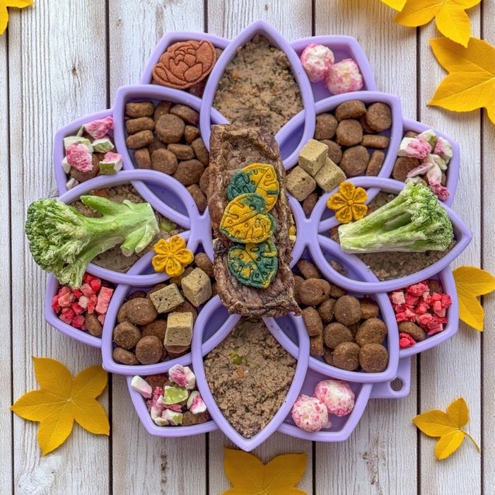 Soft Mandala Feeding Tray with Suction Cups