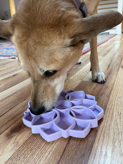 Soft Mandala Feeding Tray with Suction Cups