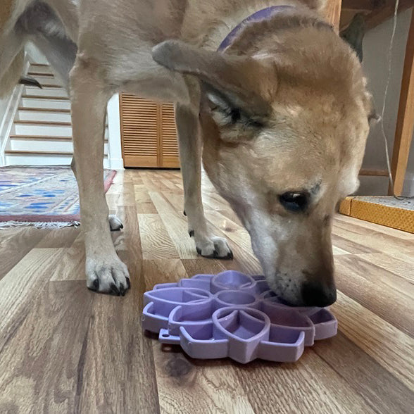 Soft Mandala Feeding Tray with Suction Cups