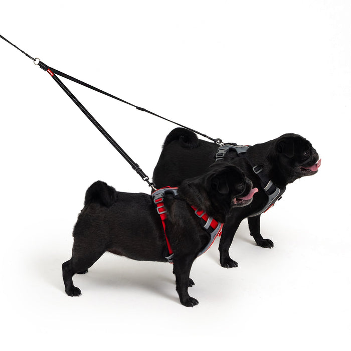 Soft Touch Coupler LITE for 2 small dogs