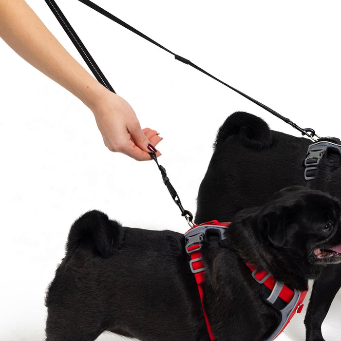 EzyDog Soft Touch Coupler LITE for 2 small dogs, adjustable dual dog leash with traffic control handle and reflective trim