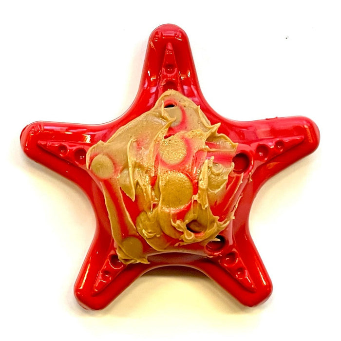 Starfish Pocket Nylon Treat Toy