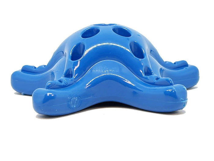 Starfish Pocket Nylon Treat Toy