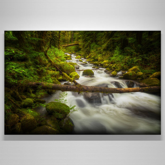 "stream"