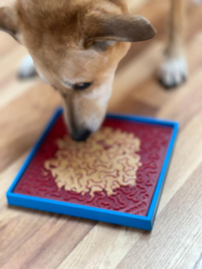 Suction Base for SodaPup Bowls & Mats