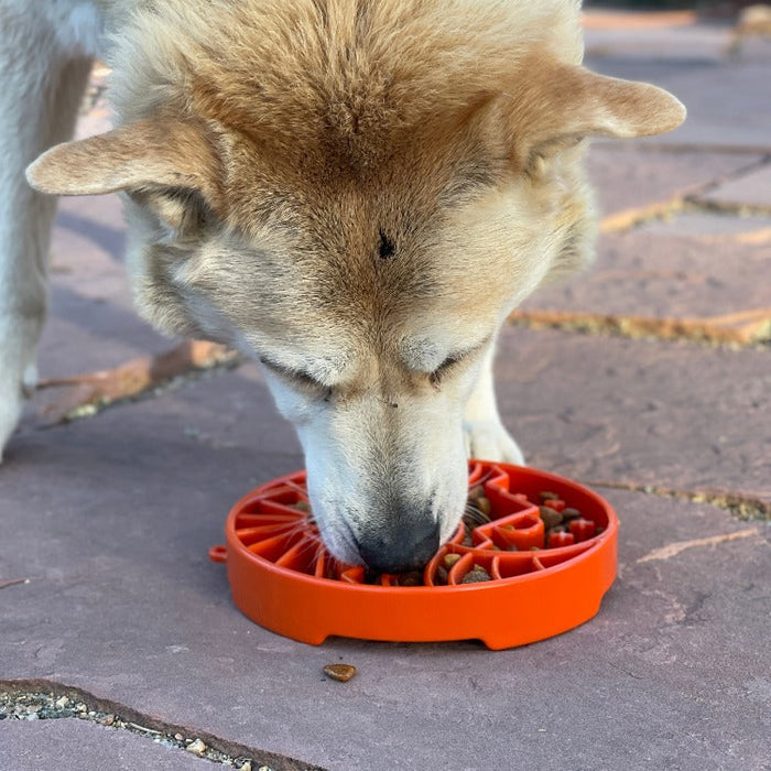 Sun-and-Moon Tray for a Divided Meal
