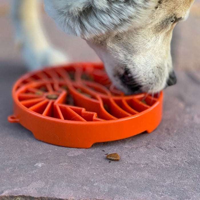 Sun-and-Moon Tray for a Divided Meal