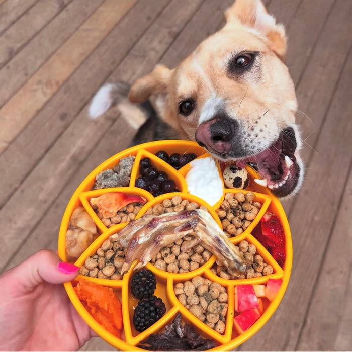 Sunflower Meal Tray with Petal Compartments