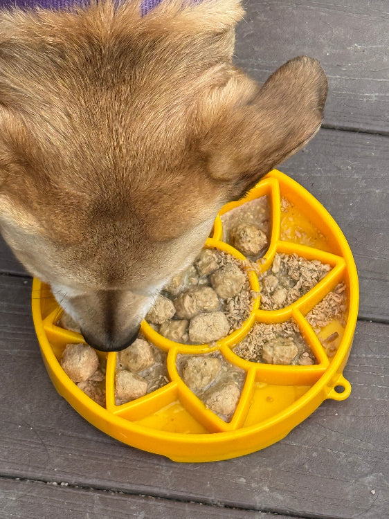 Sunflower Meal Tray with Petal Compartments