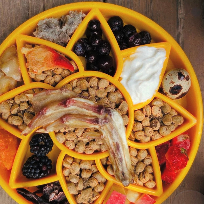 Sunflower Meal Tray with Petal Compartments