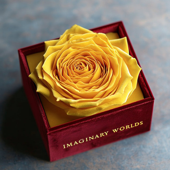 Sunshine Glow Rose Velvet Elegance - Imaginary Worlds