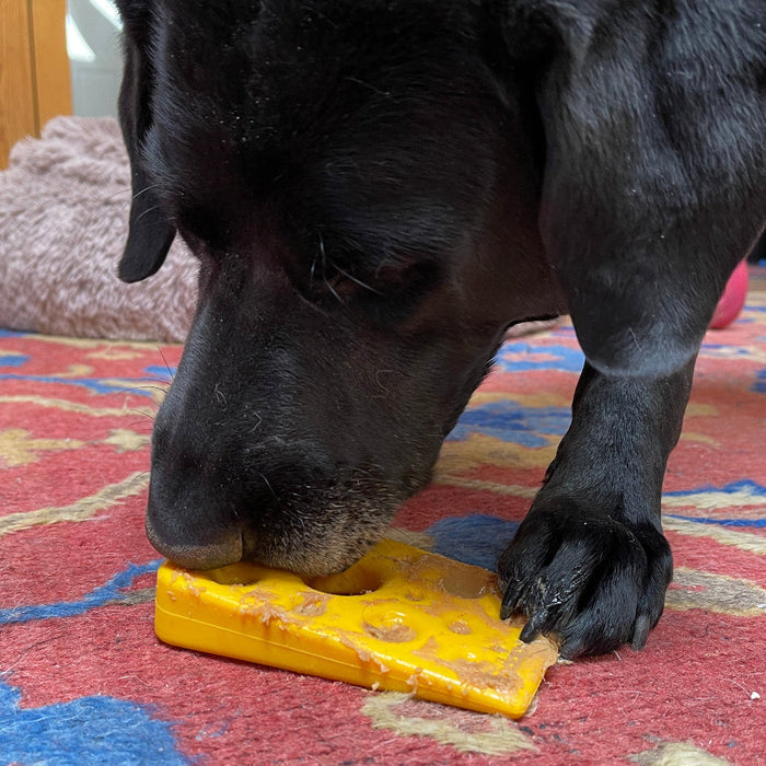 Swiss Cheese Wedge Nylon Treat Toy
