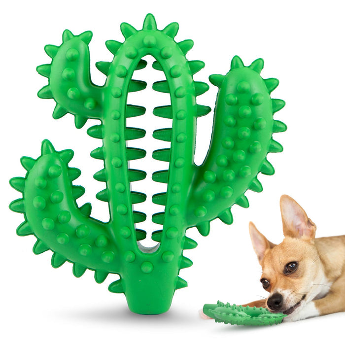 Textured Cactus Toy for Moderate Chewers