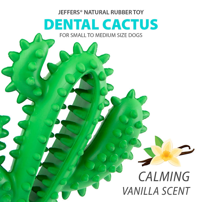 Textured Cactus Toy for Moderate Chewers