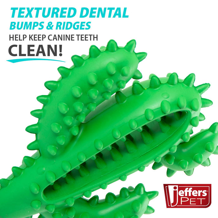 Textured Cactus Toy for Moderate Chewers
