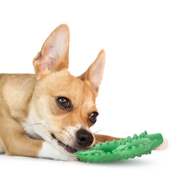 Textured Cactus Toy for Moderate Chewers