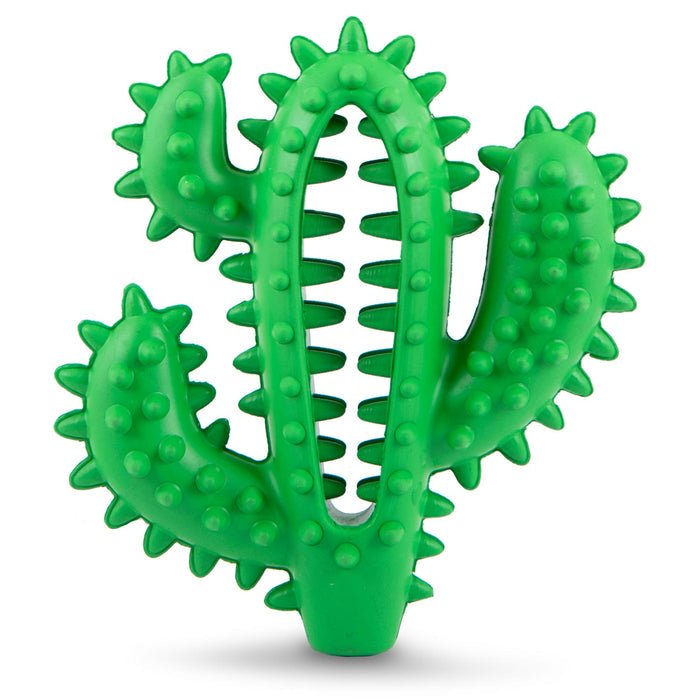 Textured Cactus Toy for Moderate Chewers