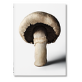 The Gourmand's Mushroom. A Collection of Stories and Recipes (English)