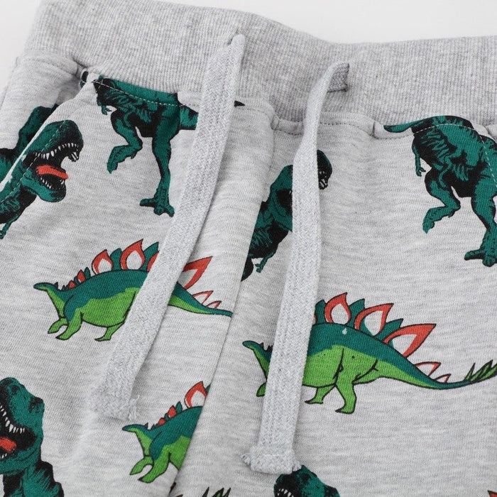 Toddler Boy's Dinosaur Print Solid Casual Pants