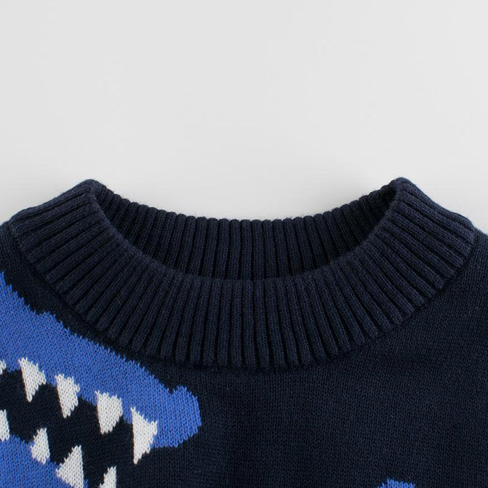 Toddler Boy's Dinosaur Print Sweater