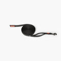 Track n Train Dog Leash