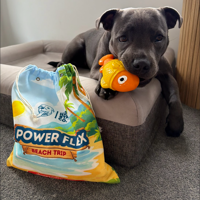 Treat & Toy Bundle (PowerFlex™ Beach Trip)